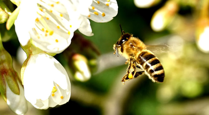 Naturfotos vom Breiteberg